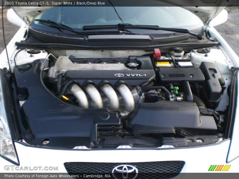 Super White / Black/Deep Blue 2003 Toyota Celica GT-S