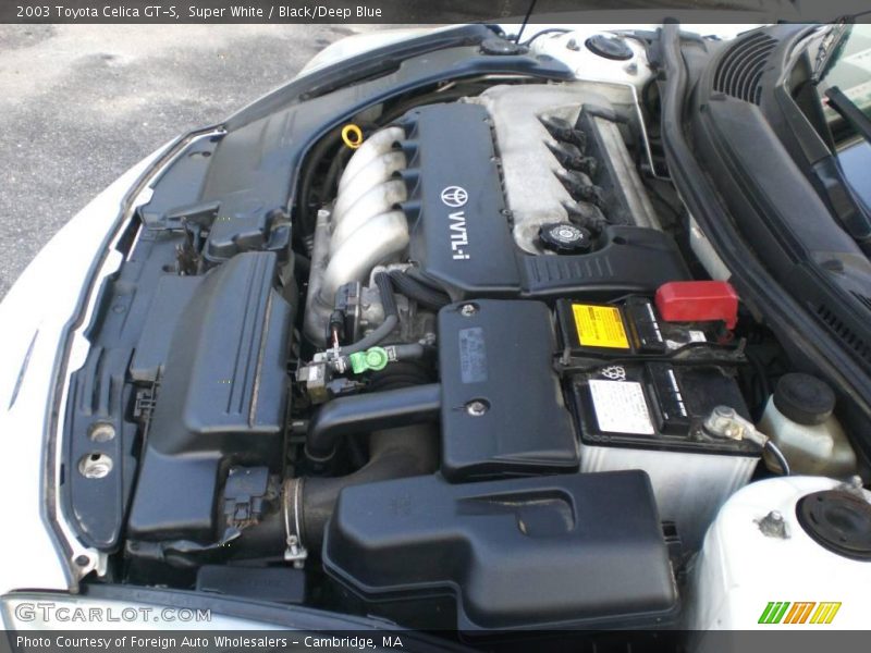 Super White / Black/Deep Blue 2003 Toyota Celica GT-S