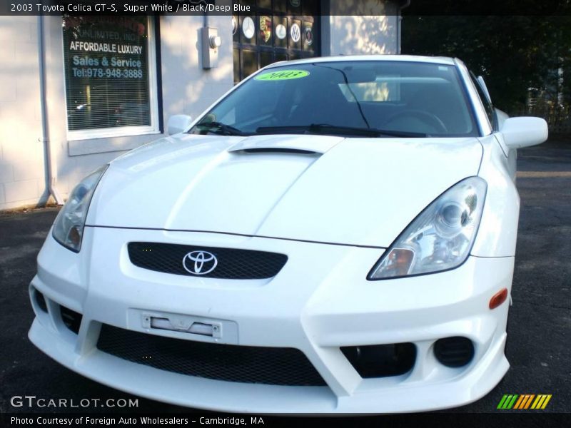 Super White / Black/Deep Blue 2003 Toyota Celica GT-S