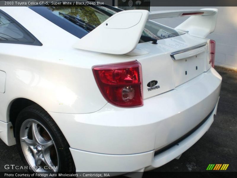 Super White / Black/Deep Blue 2003 Toyota Celica GT-S