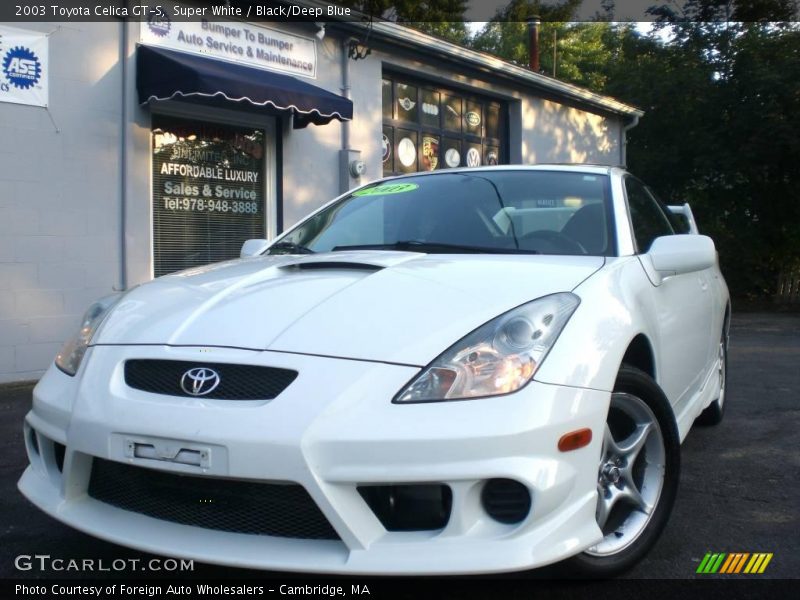 Super White / Black/Deep Blue 2003 Toyota Celica GT-S