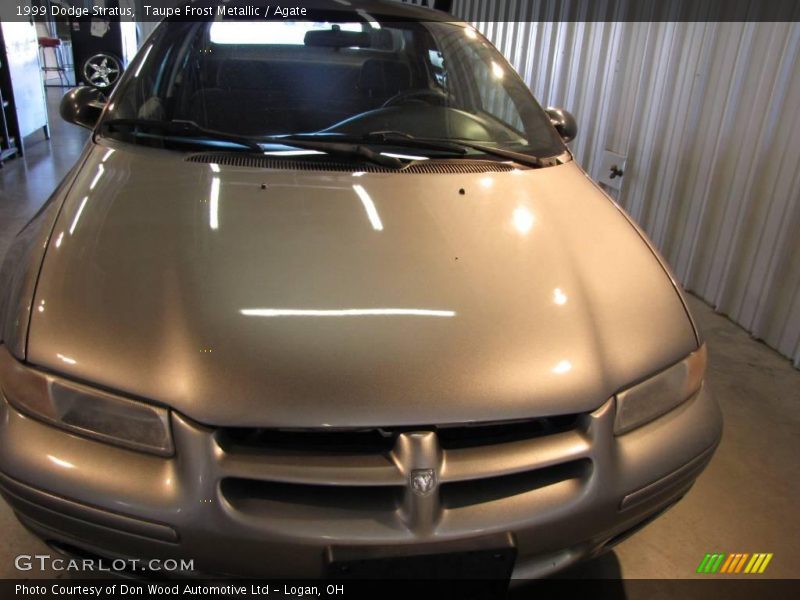 Taupe Frost Metallic / Agate 1999 Dodge Stratus