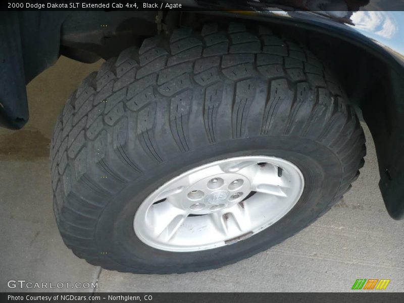 Black / Agate 2000 Dodge Dakota SLT Extended Cab 4x4