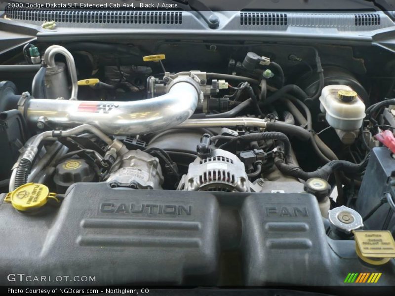 Black / Agate 2000 Dodge Dakota SLT Extended Cab 4x4