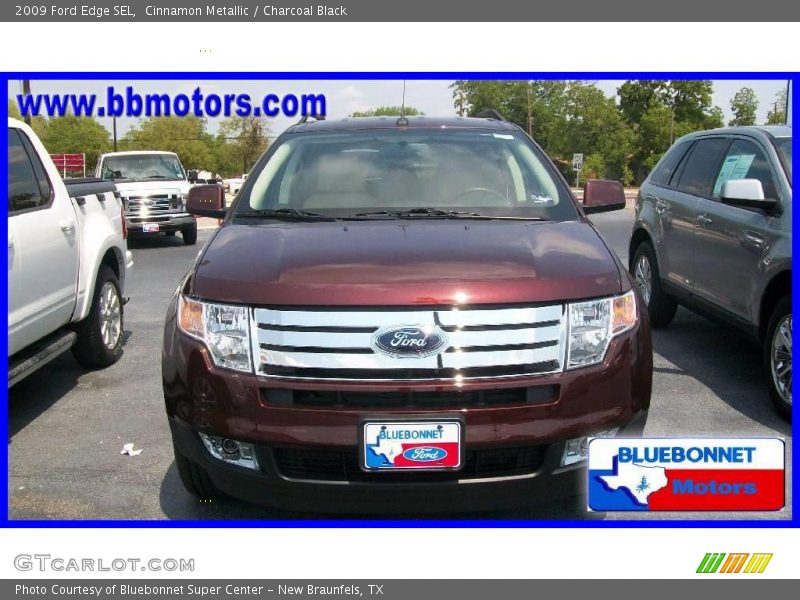 Cinnamon Metallic / Charcoal Black 2009 Ford Edge SEL