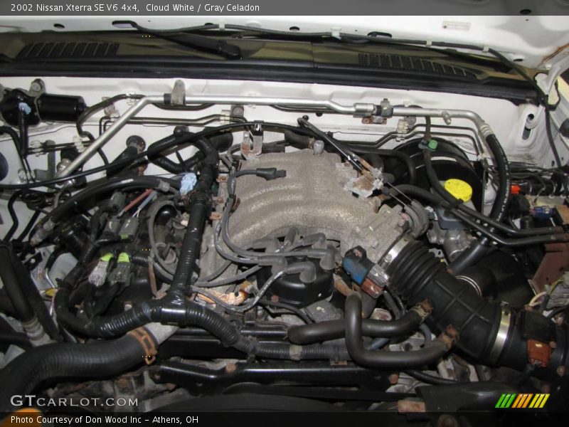 Cloud White / Gray Celadon 2002 Nissan Xterra SE V6 4x4