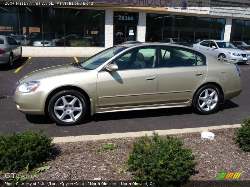Velvet Beige / Blond 2004 Nissan Altima 3.5 SE