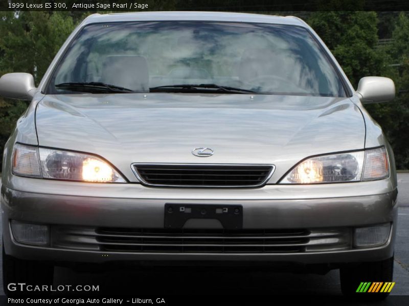 Antique Sage Pearl / Sage 1999 Lexus ES 300