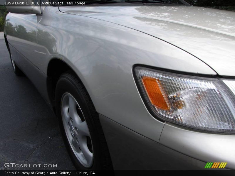 Antique Sage Pearl / Sage 1999 Lexus ES 300