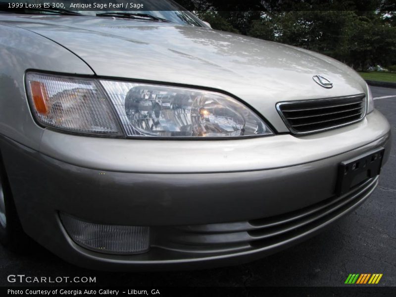 Antique Sage Pearl / Sage 1999 Lexus ES 300