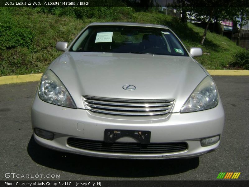 Alabaster Metallic / Black 2003 Lexus ES 300