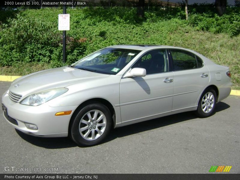 Alabaster Metallic / Black 2003 Lexus ES 300