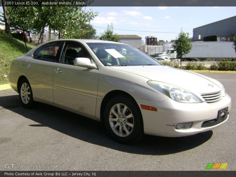 Alabaster Metallic / Black 2003 Lexus ES 300