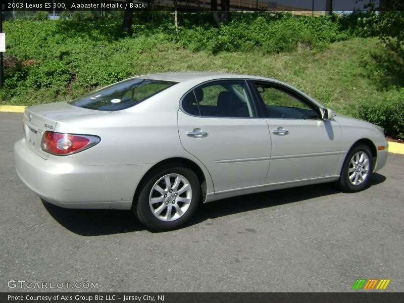 Alabaster Metallic / Black 2003 Lexus ES 300