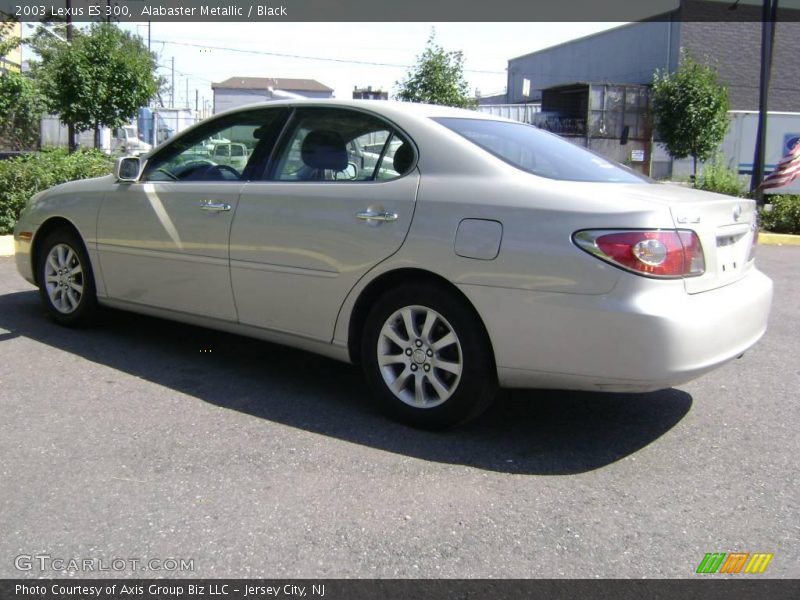 Alabaster Metallic / Black 2003 Lexus ES 300