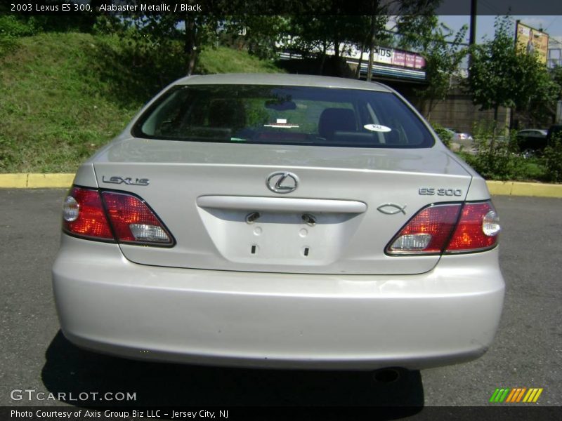 Alabaster Metallic / Black 2003 Lexus ES 300