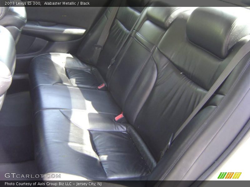 Alabaster Metallic / Black 2003 Lexus ES 300