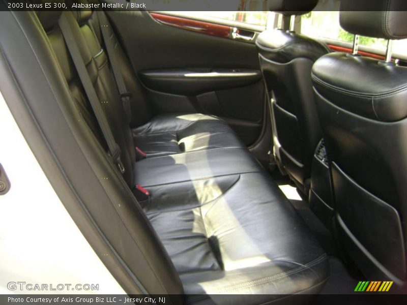Alabaster Metallic / Black 2003 Lexus ES 300
