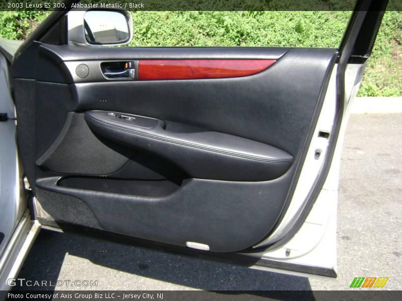 Alabaster Metallic / Black 2003 Lexus ES 300