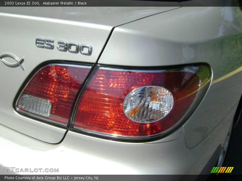 Alabaster Metallic / Black 2003 Lexus ES 300