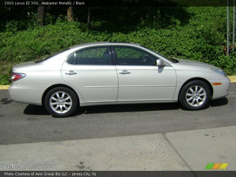 Alabaster Metallic / Black 2003 Lexus ES 300