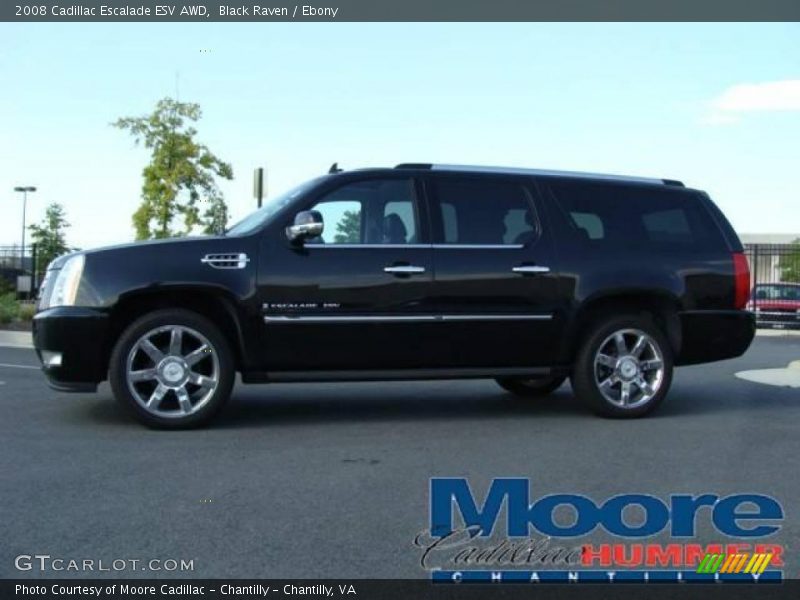 Black Raven / Ebony 2008 Cadillac Escalade ESV AWD