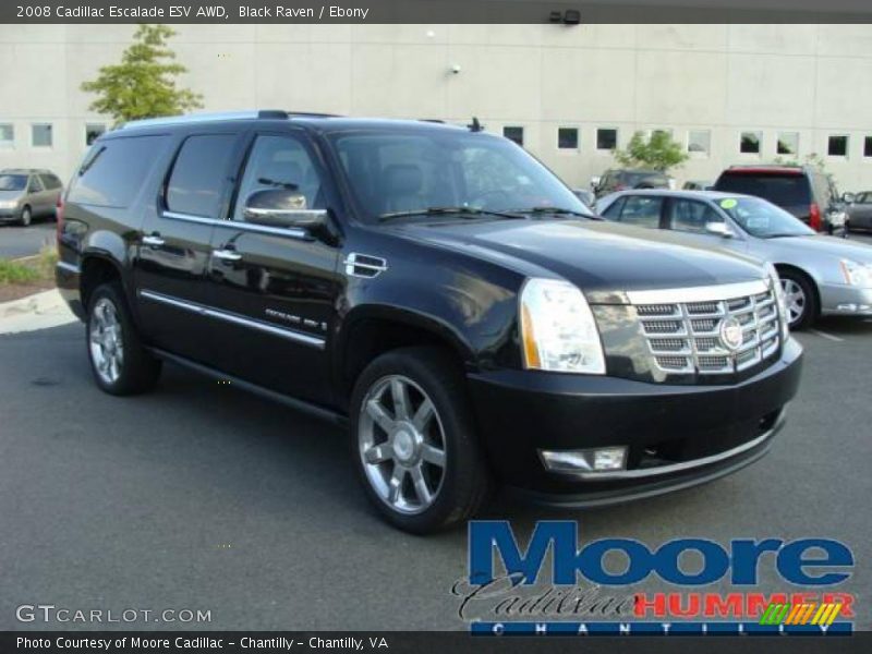 Black Raven / Ebony 2008 Cadillac Escalade ESV AWD
