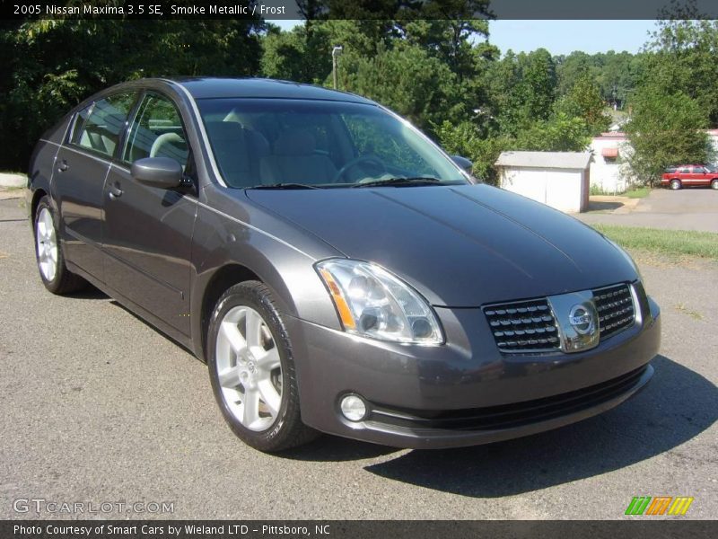 Smoke Metallic / Frost 2005 Nissan Maxima 3.5 SE