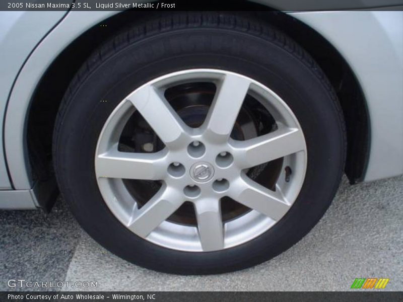 Liquid Silver Metallic / Frost 2005 Nissan Maxima 3.5 SL