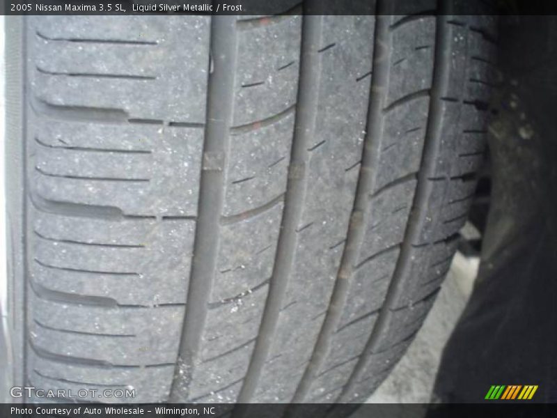 Liquid Silver Metallic / Frost 2005 Nissan Maxima 3.5 SL