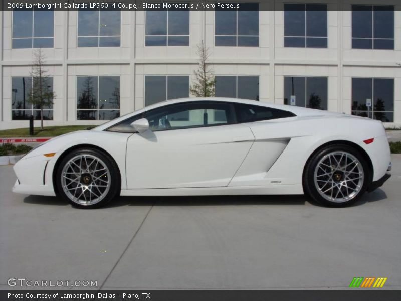 Bianco Monocerus / Nero Perseus 2009 Lamborghini Gallardo LP560-4 Coupe