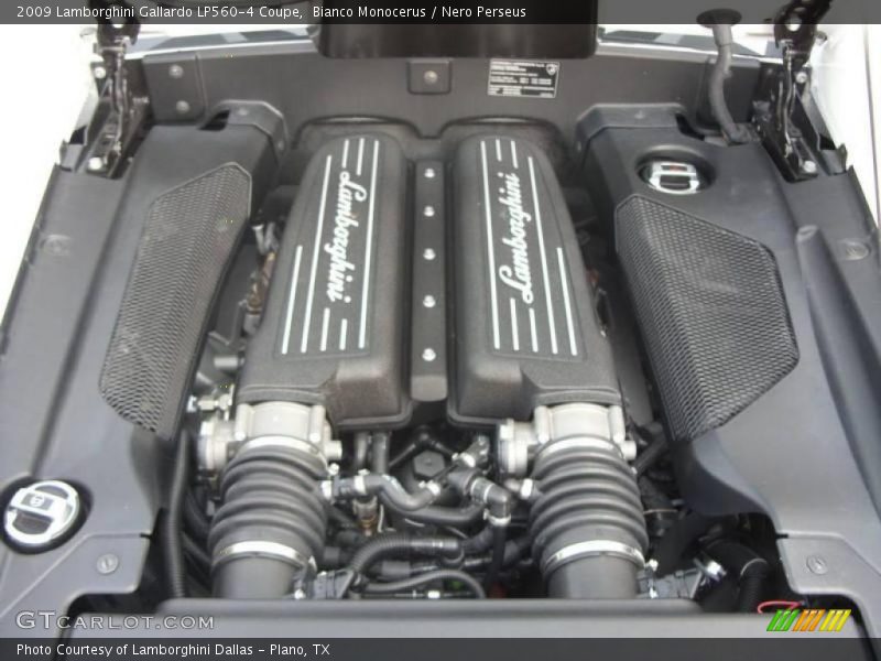  2009 Gallardo LP560-4 Coupe Engine - 5.2 Liter DOHC 40-Valve VVT V10