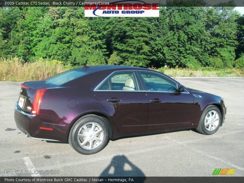 Black Cherry / Cashmere/Cocoa 2009 Cadillac CTS Sedan