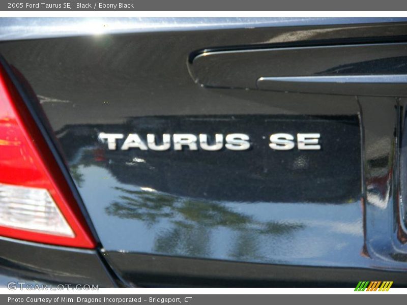 Black / Ebony Black 2005 Ford Taurus SE