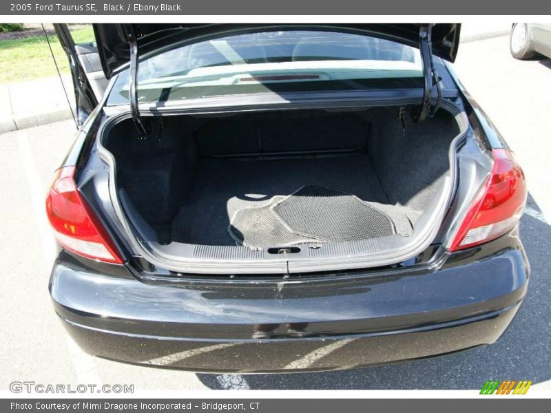 Black / Ebony Black 2005 Ford Taurus SE