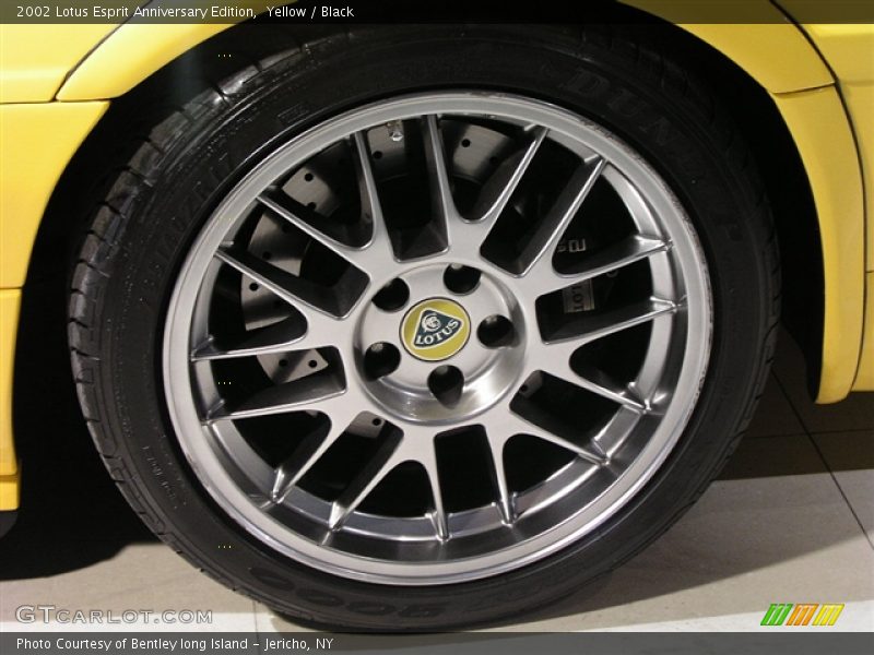  2002 Esprit Anniversary Edition Wheel