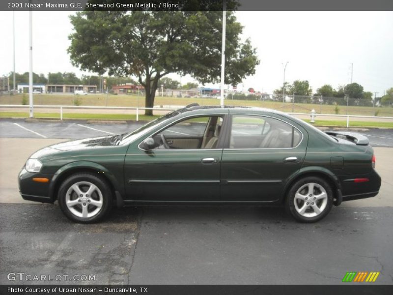 Sherwood Green Metallic / Blond 2001 Nissan Maxima GLE