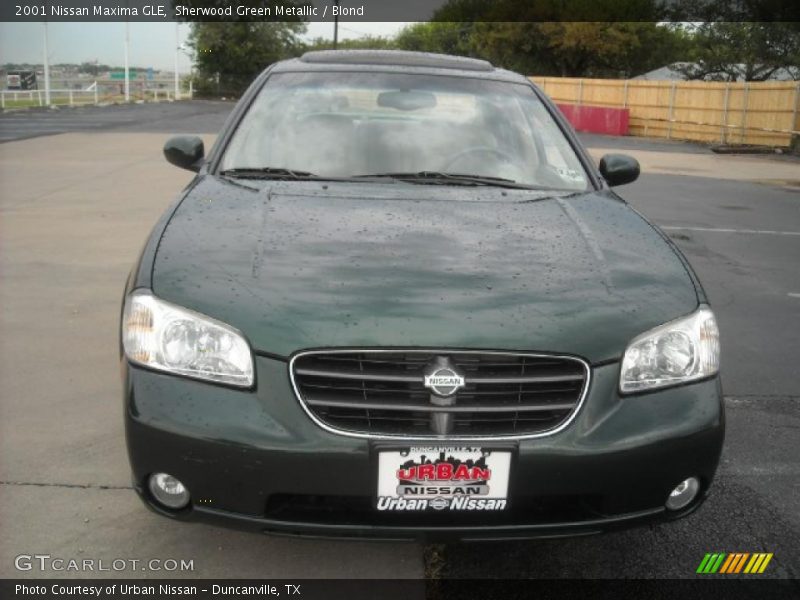 Sherwood Green Metallic / Blond 2001 Nissan Maxima GLE