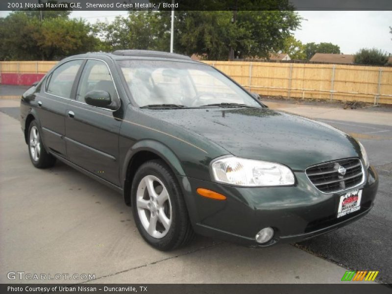 Sherwood Green Metallic / Blond 2001 Nissan Maxima GLE