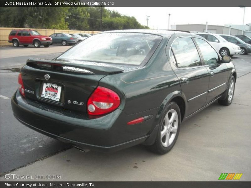 Sherwood Green Metallic / Blond 2001 Nissan Maxima GLE