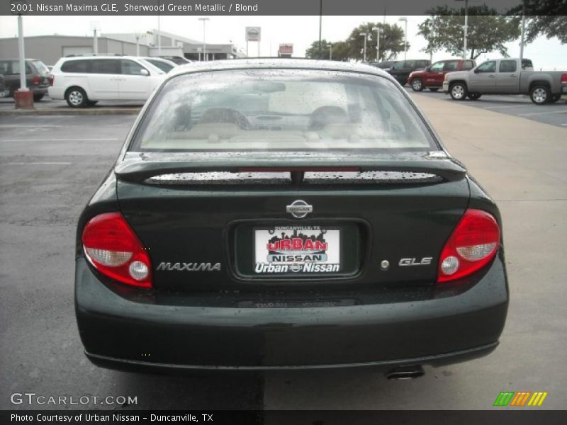 Sherwood Green Metallic / Blond 2001 Nissan Maxima GLE