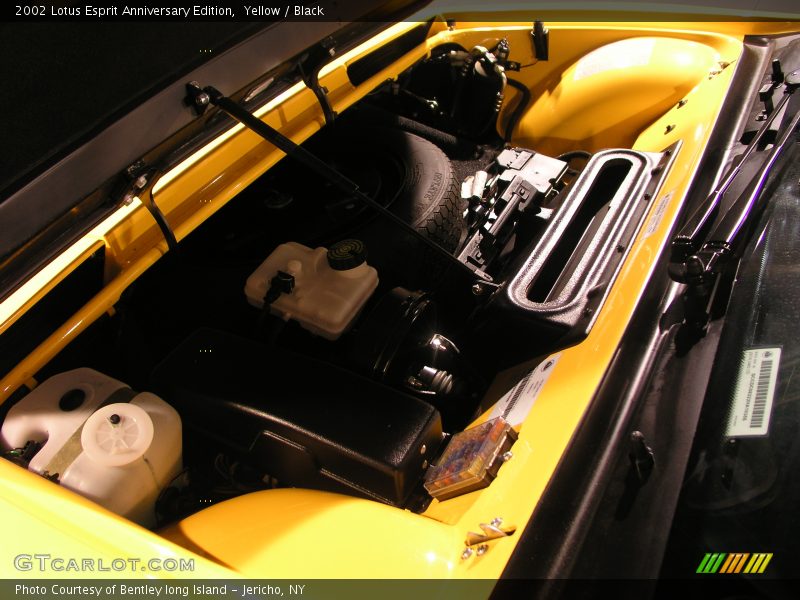  2002 Esprit Anniversary Edition Trunk