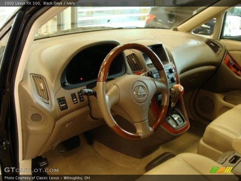 Black Onyx / Ivory 2002 Lexus RX 300