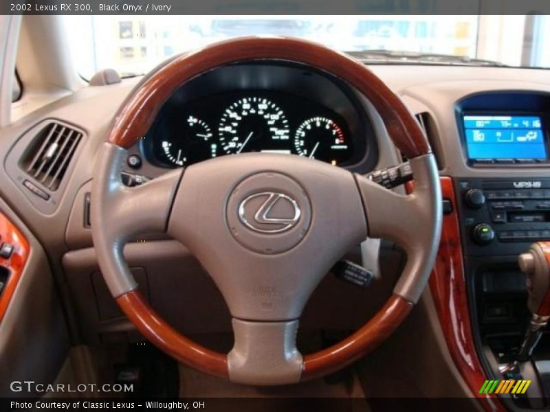 Black Onyx / Ivory 2002 Lexus RX 300