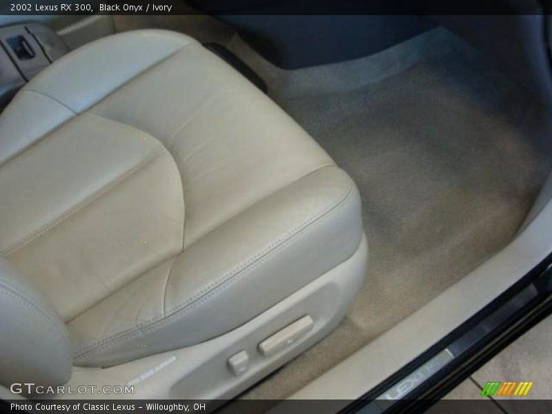 Black Onyx / Ivory 2002 Lexus RX 300