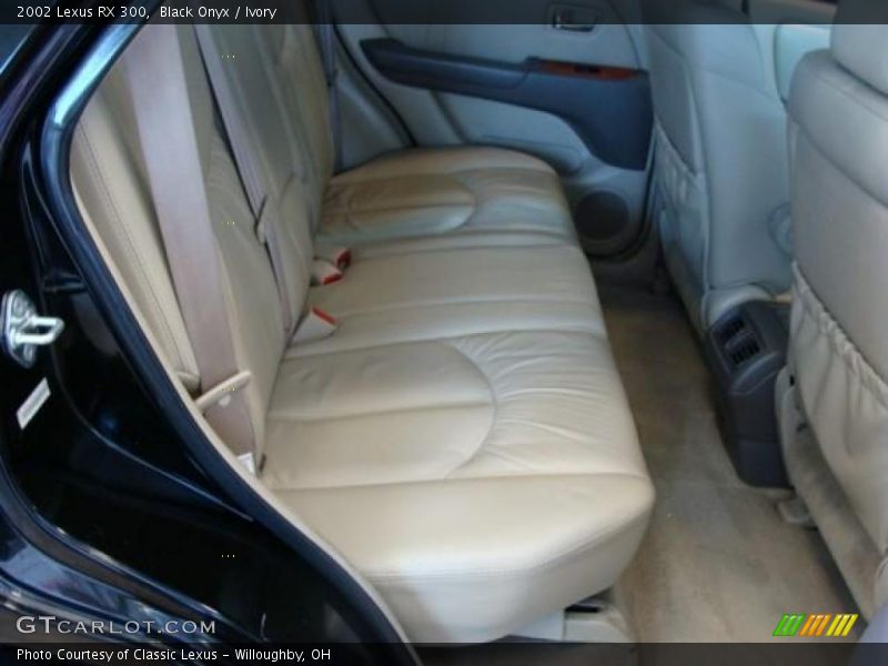 Black Onyx / Ivory 2002 Lexus RX 300