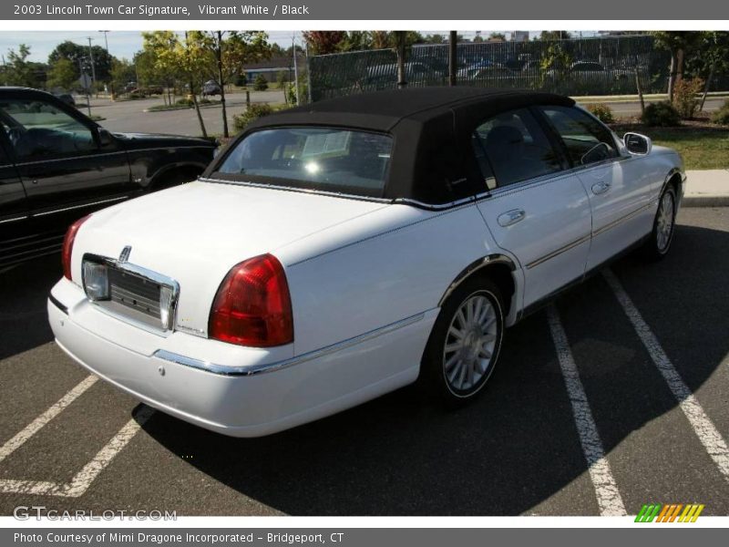 Vibrant White / Black 2003 Lincoln Town Car Signature