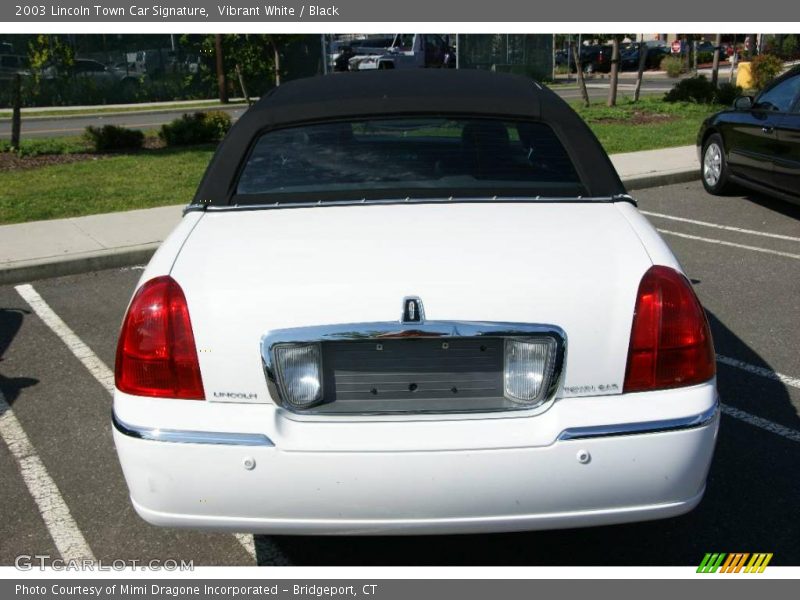 Vibrant White / Black 2003 Lincoln Town Car Signature