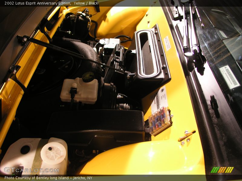 Yellow / Black 2002 Lotus Esprit Anniversary Edition