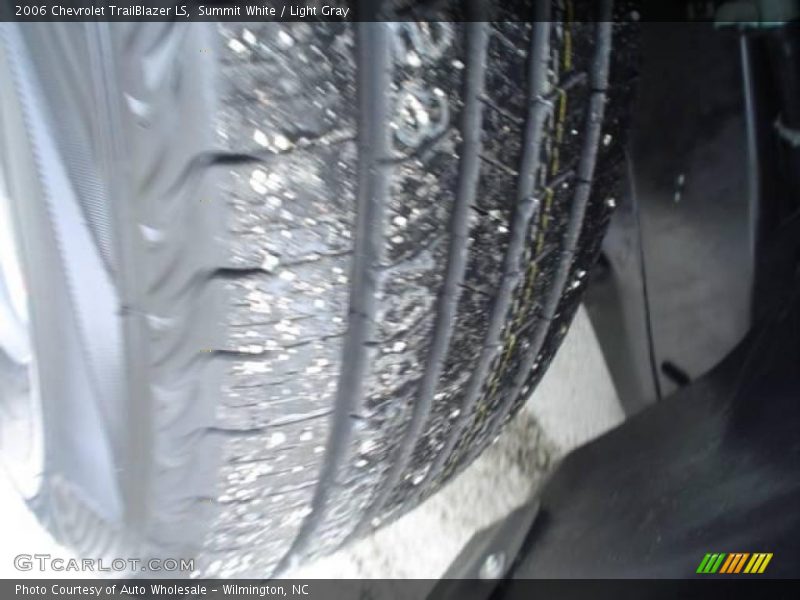 Summit White / Light Gray 2006 Chevrolet TrailBlazer LS